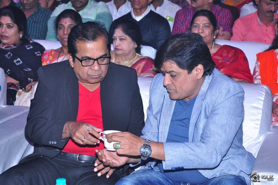 Mama-Manchu-Alludu-Kanchu-Movie-Audio-Launch